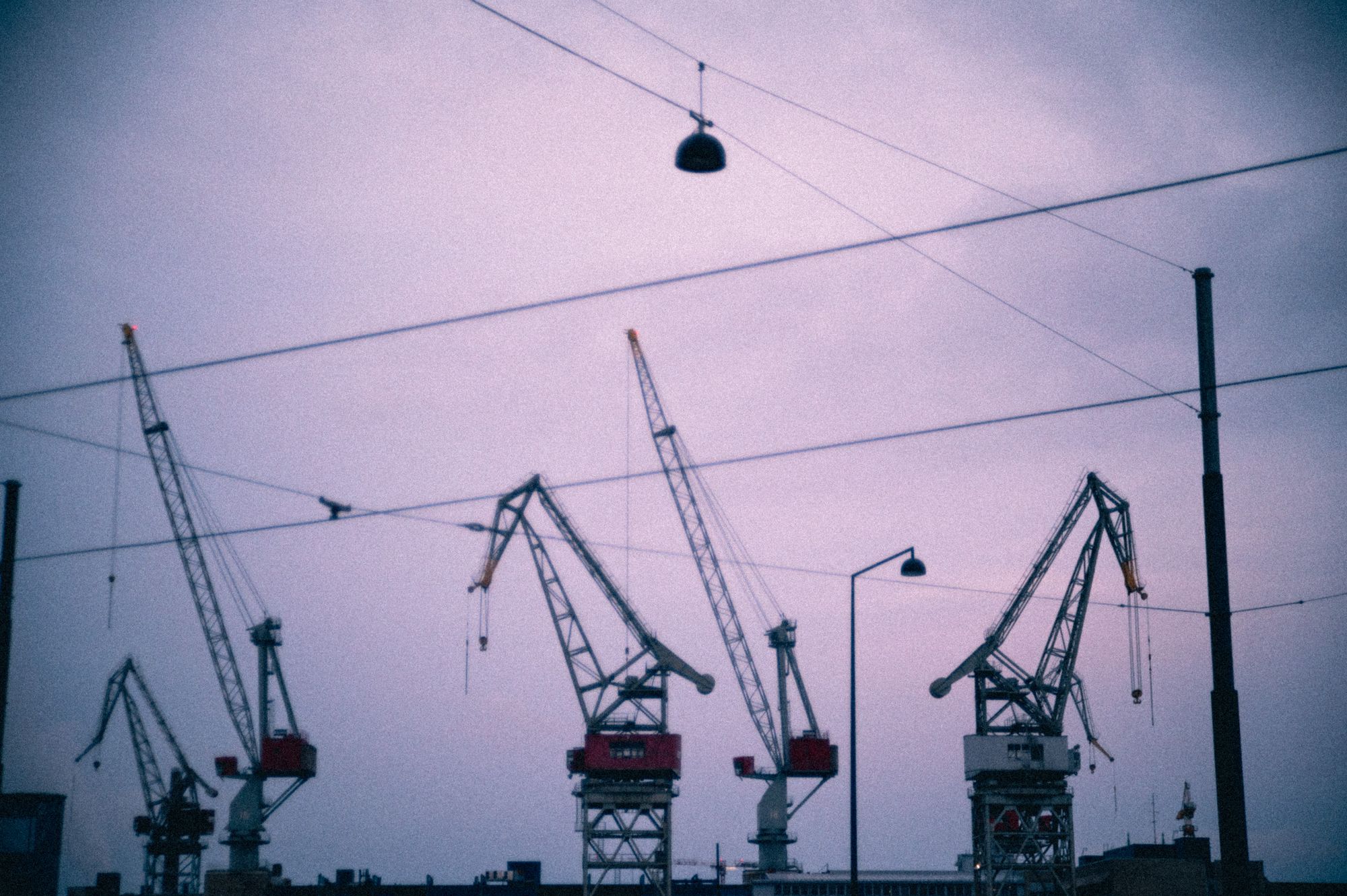 Cranes